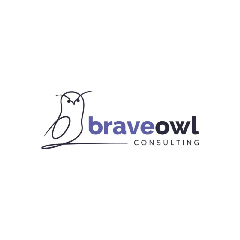 Λογότυπο Brave Owl